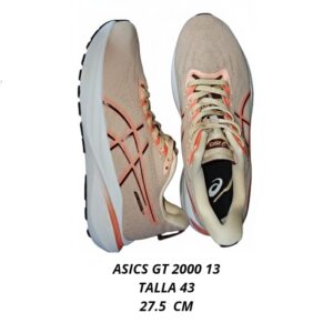 Asics Gt 2000
